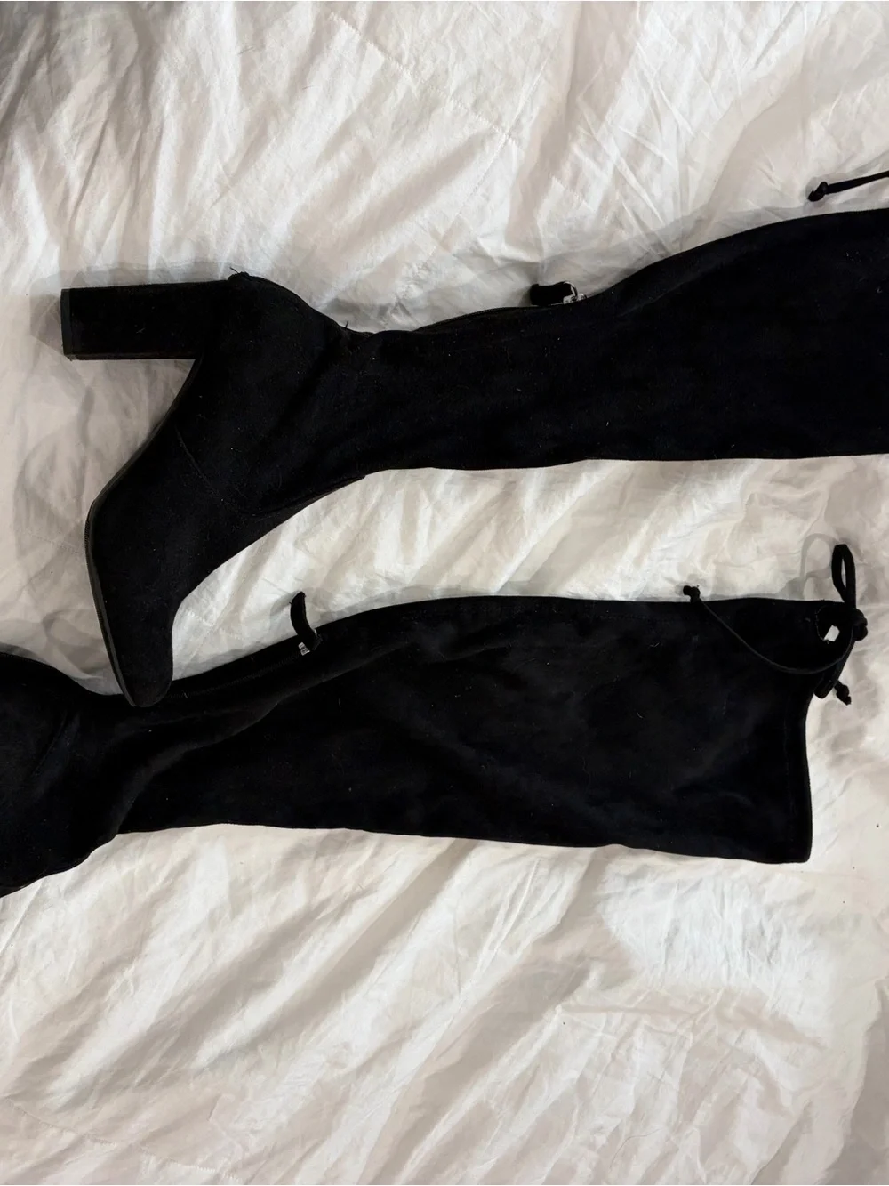 Francescas Collections stylish black
